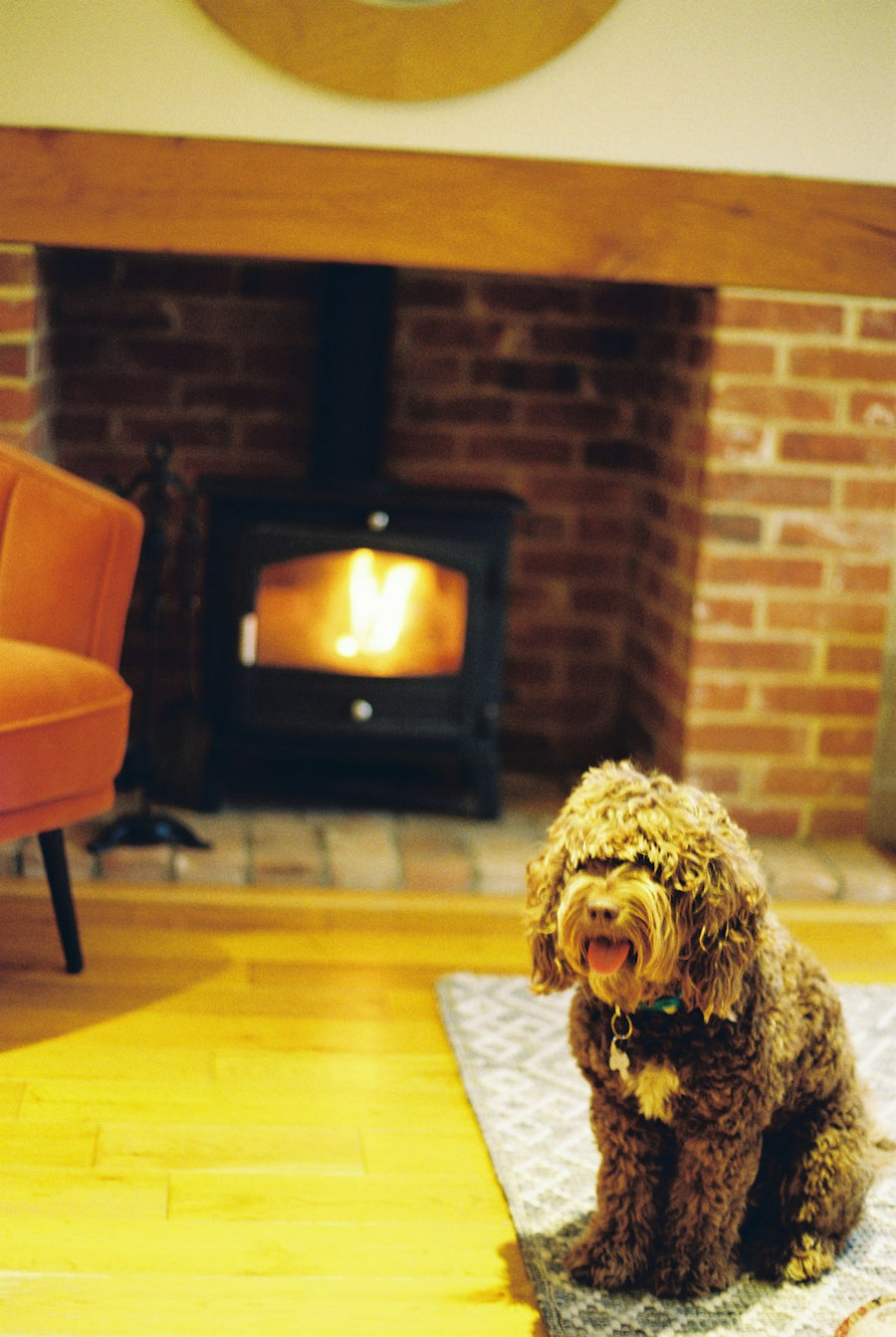 Warm, cosy British living room in winter