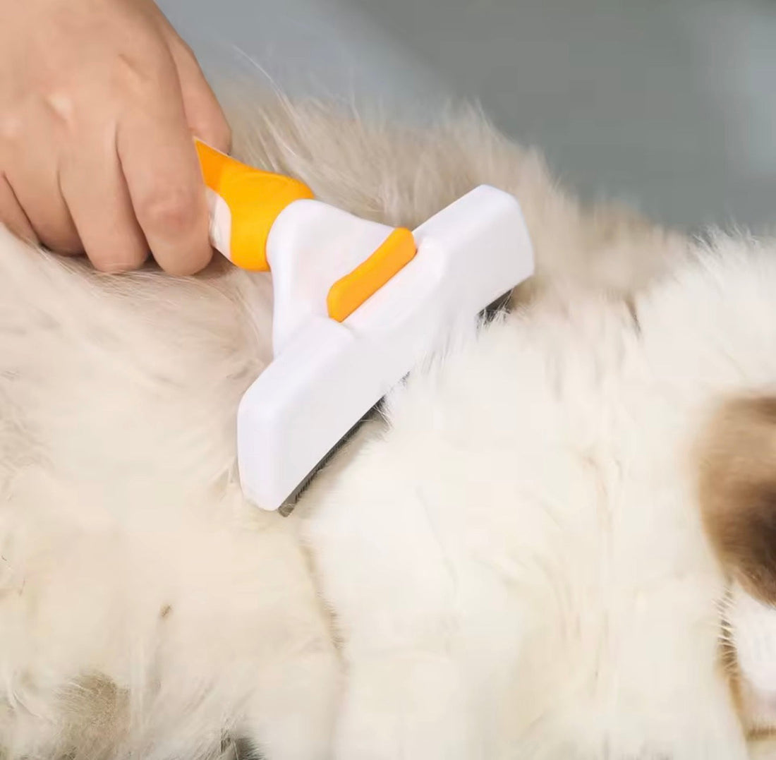 Pet Grooming Brush & Deshedding Comb for Dogs & Cats – Anti-Lice, Detangling